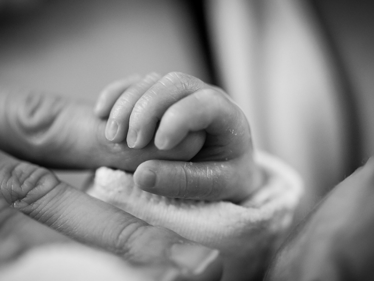 Court of Appeals asks Identity Malta Agency to be more humane