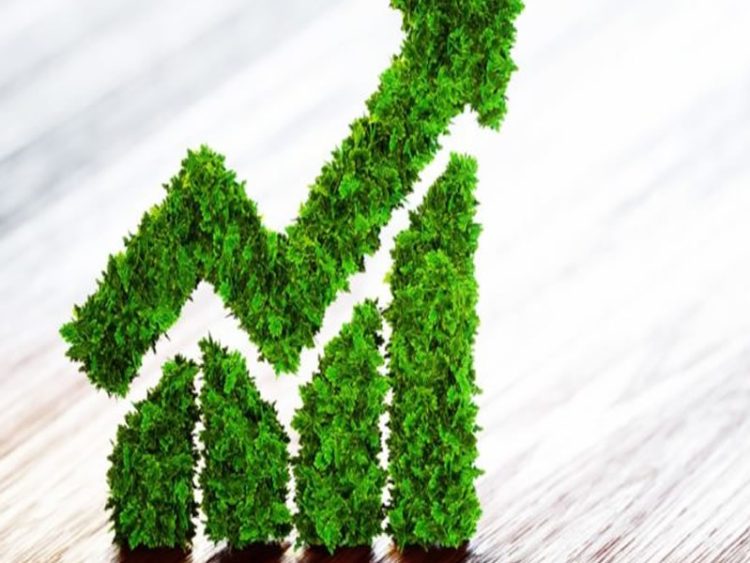 What are green bonds