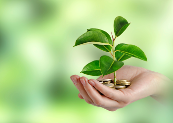 Empowering Sustainable Energy