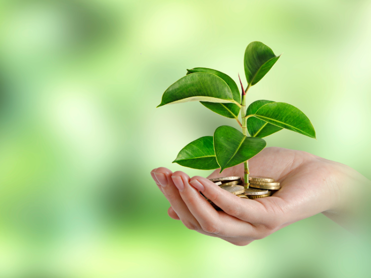 Empowering Sustainable Energy