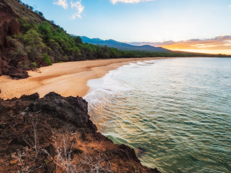 Shipping emissions reporting: The way forward