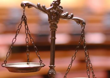 Novo Legal - New member